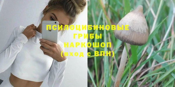 mix Калининец