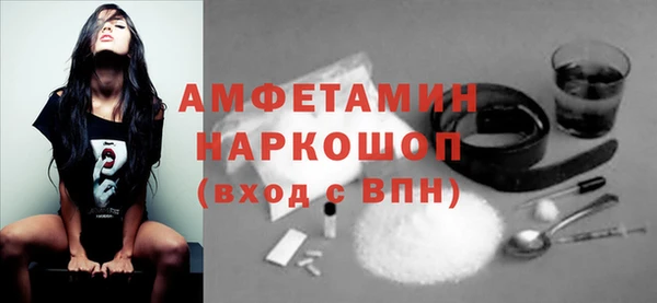 шишки Фёдоровский