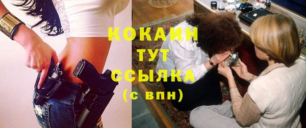 шишки Фёдоровский