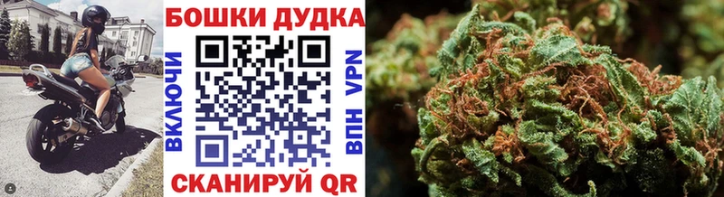 где купить наркоту  Зубцов  Канабис марихуана 